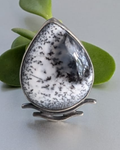 The Silva Ring