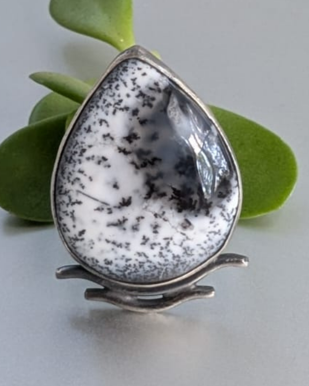 The Silva Ring